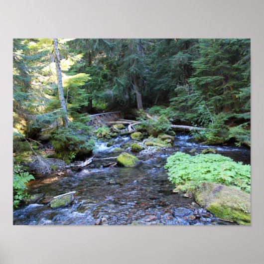Mountain River Rocks Trees Poster (Vorne)