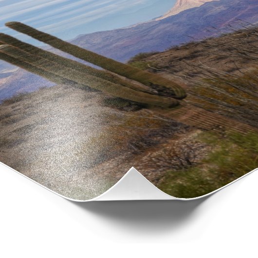 Mountain Saguaro Fotodruck (Ecke)