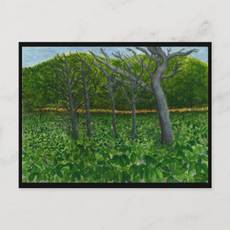 Mountain Serenity Postkarte