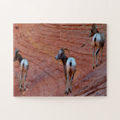 Mountain Sheep Utah Puzzle (Horizontal)