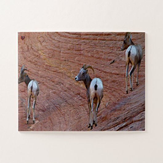 Mountain Sheep Utah Puzzle (Horizontal)