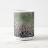 Mountain Song Western Meadowlark Tasse (Mittel)