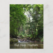 Mountain Stream Blue Ridge Mountains NC Postkarte (Vorderseite)