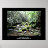 Mountain Stream Great Smoky Mountains Poster (Vorne)