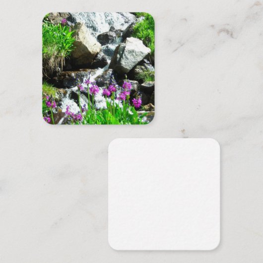 Mountain Stream Note Card Mitteilungskarte (Vorne/Hinten)