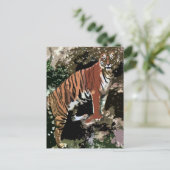 Mountain Tiger Postkarte (Stehend Vorderseite)