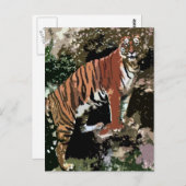 Mountain Tiger Postkarte (Vorne/Hinten)