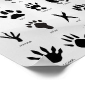 Mountain Tracks Poster (Ecke)