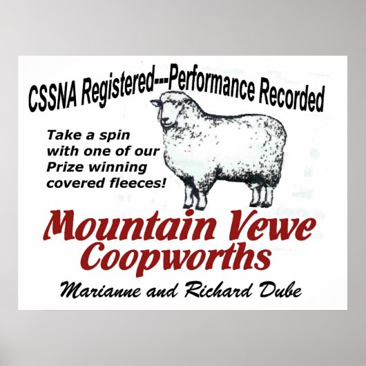 Mountain Vewe Coopworth Poster (Vorne)