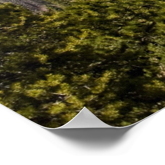 Mountain View Poster (Ecke)