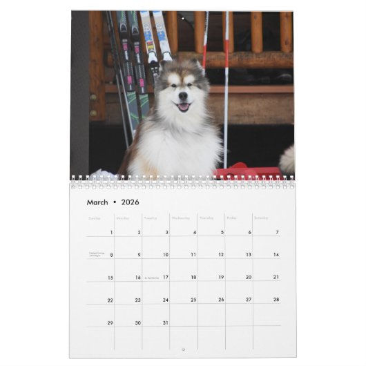 Mountain Zuhause Powder Hound CDX, RAE, RM, CGC, W Kalender (Mär 2026)