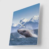 Mountains | Breaching Whale Glacier Bay, Alaska Quadratische Wanduhr (Winkel)