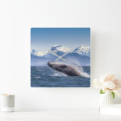 Mountains | Breaching Whale Glacier Bay, Alaska Quadratische Wanduhr (Zuhause)