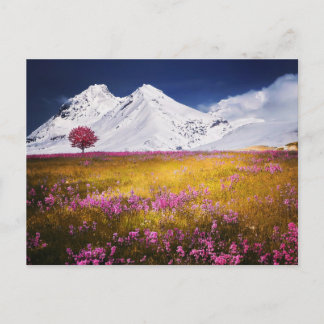 MOUNTAINS FIELD FLOWERS LANDSCAPE POSTCROSSING POSTKARTE