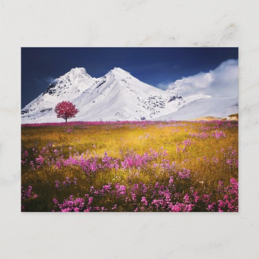 MOUNTAINS FIELD FLOWERS LANDSCAPE POSTCROSSING POSTKARTE (Vorderseite)