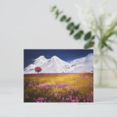 MOUNTAINS FIELD FLOWERS LANDSCAPE POSTCROSSING POSTKARTE (Stehend Vorderseite)
