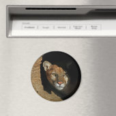 Mountian Lion versteckt sich in Log 3" Magnet (In Situ (Geschirrspüler))