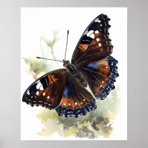 Mourning Cloak Butterfly Art Print Poster