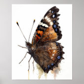 Mourning Cloak Butterfly Art Print Poster (Vorne)