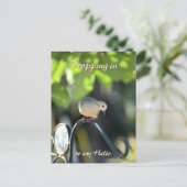 Mourning Dove Dropping in to Say Hello Postkarte (Stehend Vorderseite)