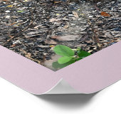 Mourning Dove Poster (Ecke)
