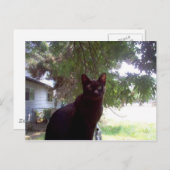 Mouschi Postkarte (Vorne/Hinten)