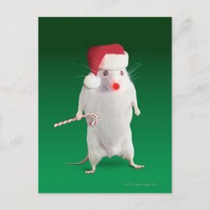 Mouse dressed as Santa Claus Feiertagspostkarte