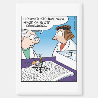 Mouse in Maze  Magnet