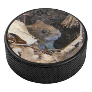 Mouse in the house eishockey puck