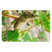 Mouse Magnet (Horizontal)