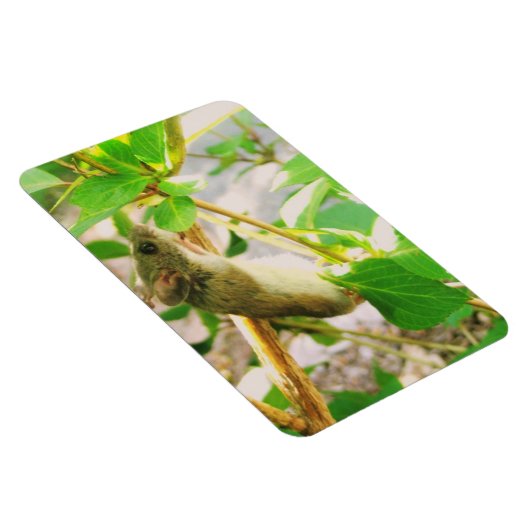 Mouse Magnet (Rechte Seite)