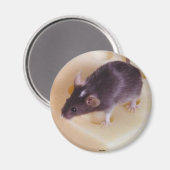 Mouse Magnet (Vorderseite/Rückseite)