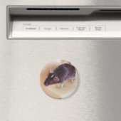 Mouse Magnet (In Situ (Geschirrspüler))