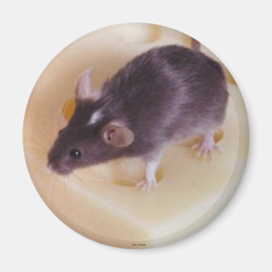 Mouse Magnet (Vorne)