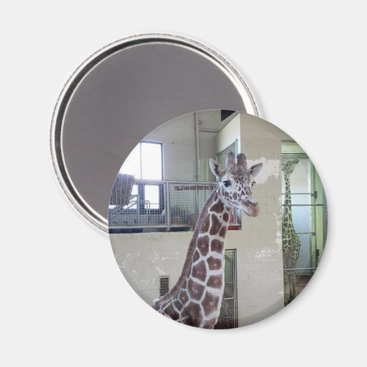 Mouse Magnet #2 (Vorderseite/Rückseite)