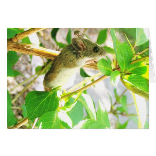 Mouse Notecard (Vorderseite (Horizontal))
