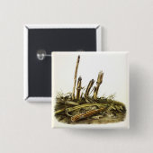 Mouse oder Maus mit geringer Ernte Button (Vorne & Hinten)