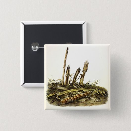 Mouse oder Maus mit geringer Ernte Button (Vorne & Hinten)