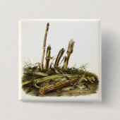 Mouse oder Maus mit geringer Ernte Button (Vorderseite)