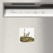 Mouse oder Maus mit geringer Ernte Magnet (In Situ (Geschirrspüler))