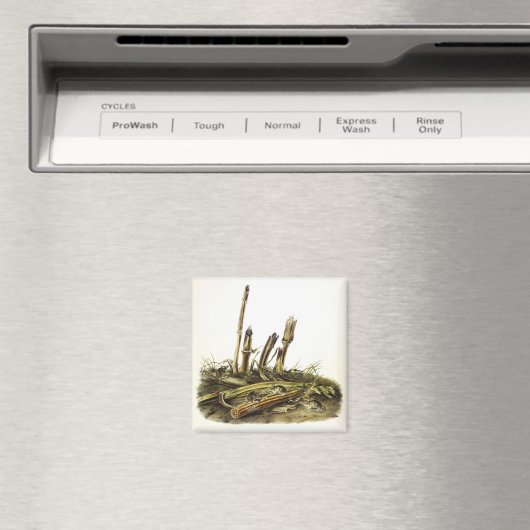 Mouse oder Maus mit geringer Ernte Magnet (In Situ (Geschirrspüler))