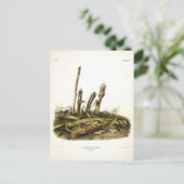 Mouse oder Maus mit geringer Ernte Postkarte (Stehend Vorderseite)