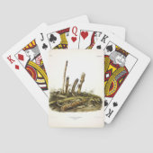 Mouse oder Maus mit geringer Ernte Spielkarten (Rückseite)