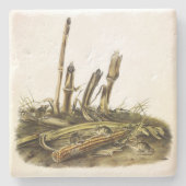 Mouse oder Maus mit geringer Ernte Steinuntersetzer (Vorderseite)