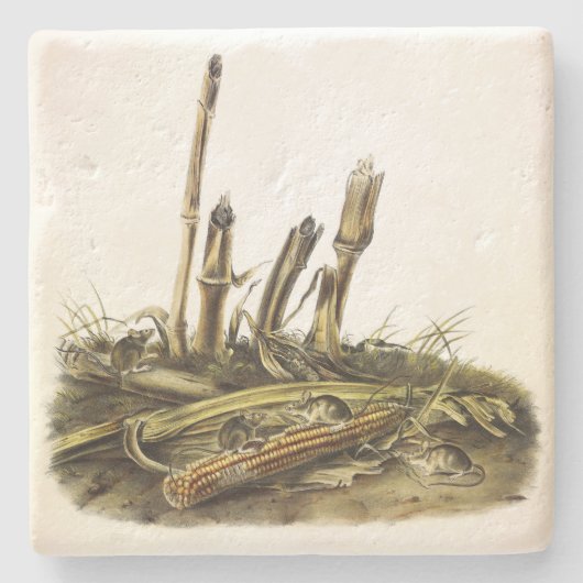 Mouse oder Maus mit geringer Ernte Steinuntersetzer (Vorderseite)