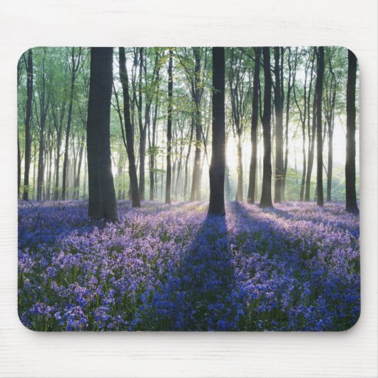 Mouse Pad Forest Mousepad (Vorne)