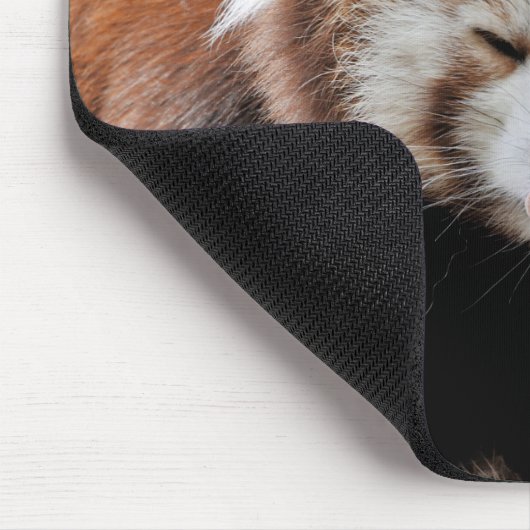 Mouse Pad Foto Red panda , animals 0393. Mousepad (Ecke)