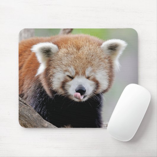 Mouse Pad Foto Red panda , animals 0393. Mousepad (Mit Mouse)