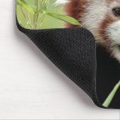 Mouse Pad Foto roter Panda, Tiere 0392. Mousepad (Ecke)