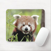 Mouse Pad Foto roter Panda, Tiere 0392. Mousepad (Mit Mouse)